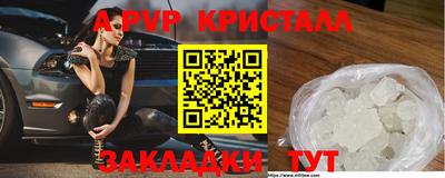 стафф Краснознаменск
