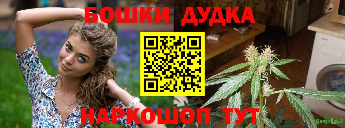 Канабис ГИДРОПОН  Вход с VPN  Саки  Канабис OG Kush 